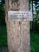 7.25.06 Larch Mountain 009 